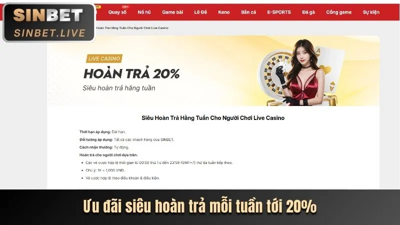 Hướng dẫn HDBET dành cho người mới